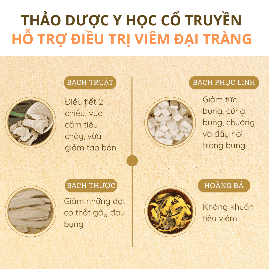 Thảo Dược y học cổ truyền (1) (1) (1) (1).png